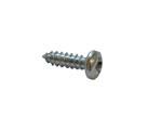 1/2"  Pan Headed Pozi Screws